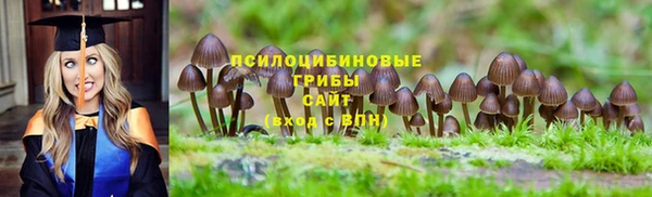 амф Арсеньев