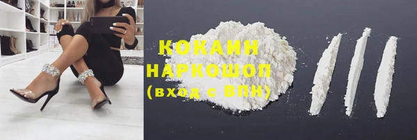 трава Аркадак